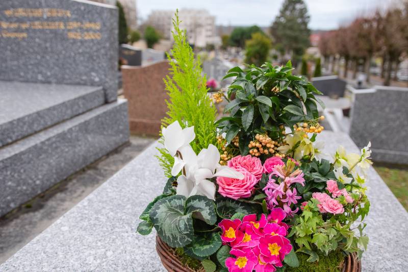 Élégantes Coupes de Plantes en Paniers d'Osier par Fleurs d'Auteuil