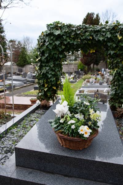 Arrangements de Plantes en Paniers d'Osier par Fleurs d'Auteuil