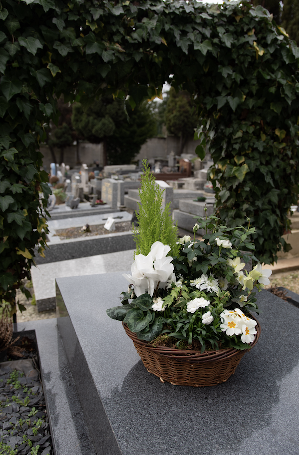Coupes de Plantes à Issy-les-Moulineaux par Fleurs d’Auteuil
