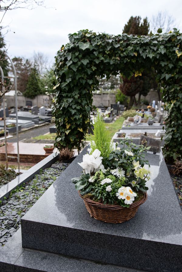 Coupes de Plantes à Neuilly-sur-Seine par Fleurs d’Auteuil