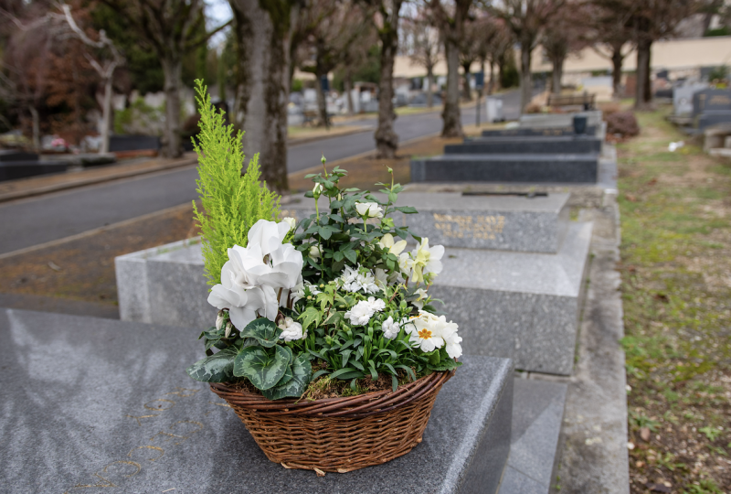 Coupes de Plantes à Boulogne-Billancourt par Fleurs d’Auteuil