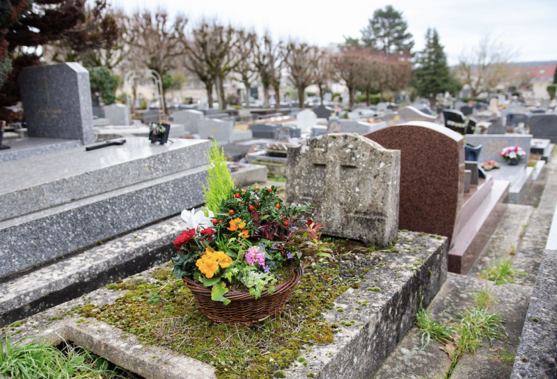 Coupes de Plantes à Paris 2e Arrondissement par Fleurs d’Auteuil