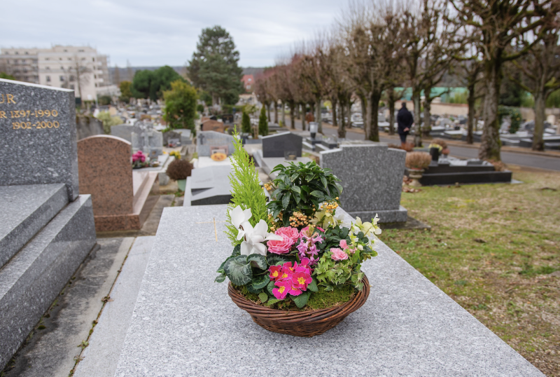 Coupes de Plantes à Paris 3e Arrondissement par Fleurs d’Auteuil