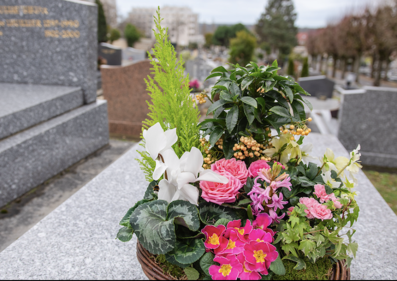 Coupes de Plantes à Paris 4e Arrondissement par Fleurs d’Auteuil