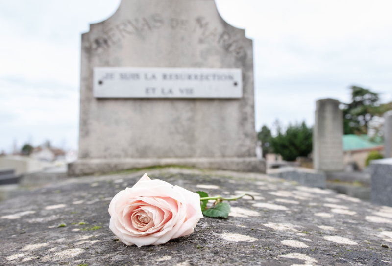 Pétales de Rose pour Obsèques à Paris 13e - Fleurs d'Auteuil
