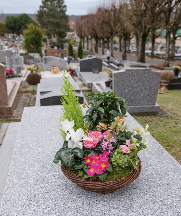 Coupes de Plantes à Paris 13e Arrondissement par Fleurs d’Auteuil
