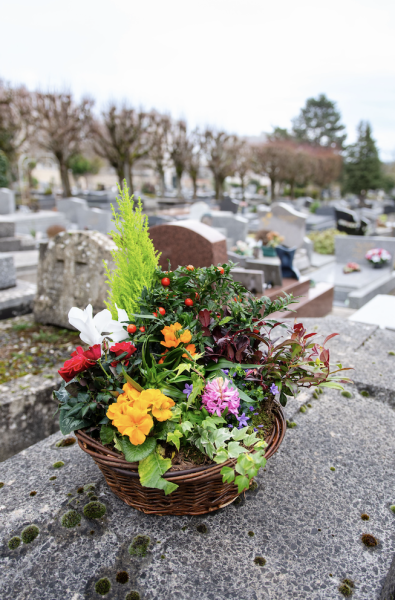 Coupes de Plantes à Paris 14e Arrondissement par Fleurs d’Auteuil
