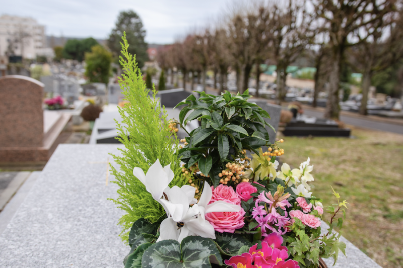 Coupes de Plantes à Paris 7e Arrondissement par Fleurs d’Auteuil