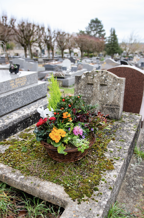 Coupes de Plantes à Paris 8e Arrondissement par Fleurs d’Auteuil