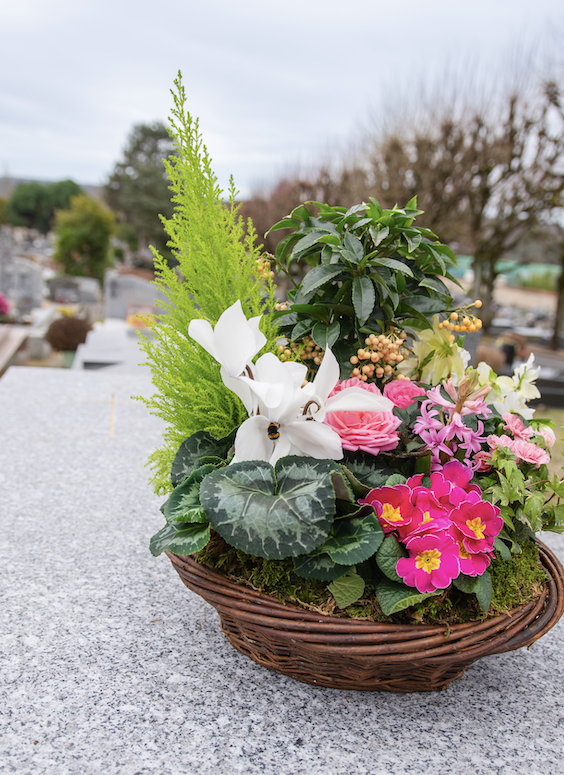 Coupes de Plantes à Paris 9e Arrondissement par Fleurs d’Auteuil