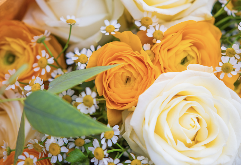 Roses à la Pièce pour Obsèques à Paris 1er - Fleurs d'Auteuil