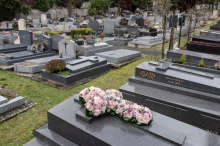 Notre zone d'activité pour ce service Fleurir une tombe avec un bouquet de chrysanthèmes 