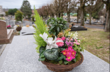 Nos prestations sur le secteur de Paris 15ème