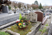 Nos prestations sur le secteur de Saint-Cloud (92)